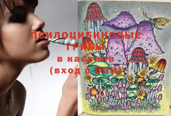 тгк Абаза