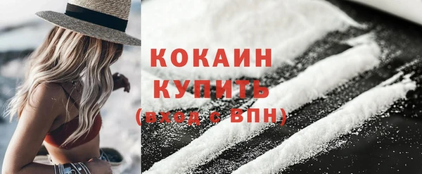 тгк Абаза
