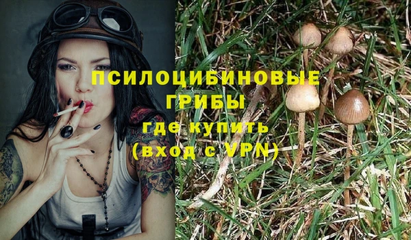 тгк Абаза