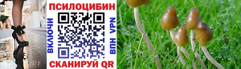 OMG как зайти купить закладку Тихорецк Галлюциногенные грибы прущие грибы